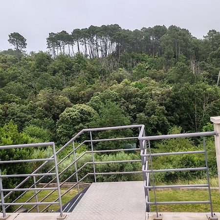 Les Chataigniers Appartement Meuble Saint Sebastien d'Aigrefeuille Kültér fotó