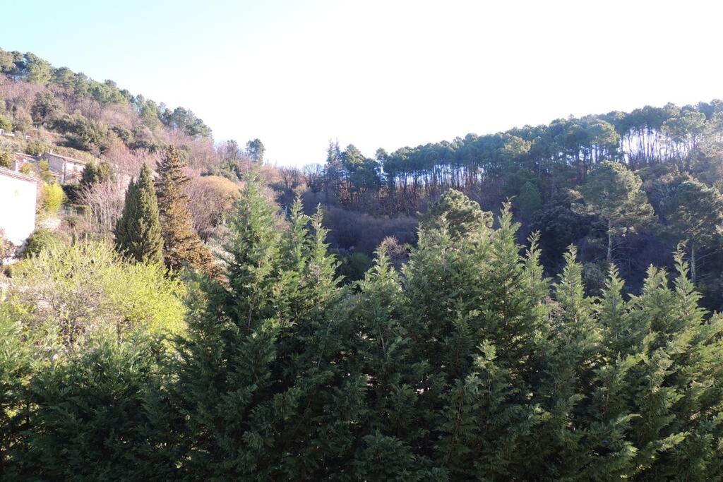 Les Chataigniers Appartement Meuble Saint Sebastien d'Aigrefeuille Kültér fotó