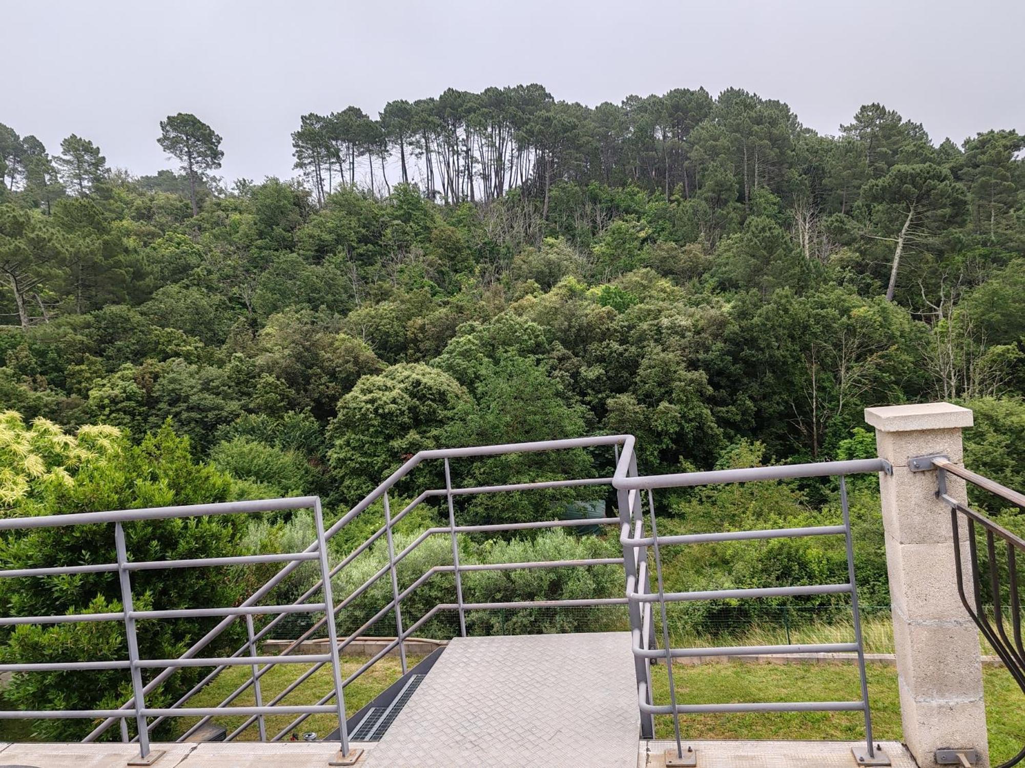 Les Chataigniers Appartement Meuble Saint Sebastien d'Aigrefeuille Kültér fotó